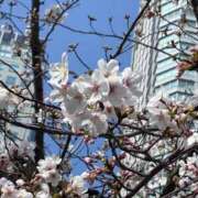 ヒメ日記 2026/03/30 18:59 投稿 さゆ デザインプリズム新宿