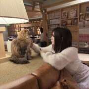 ゆさ 1番性〇が強い動物知ってる…？🐰💓 姫コレクション