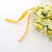 水島（みずしま） クリーミー王子さんからのお題 熟女の風俗最終章 名古屋店