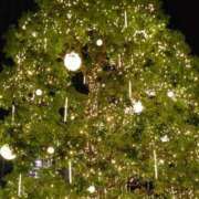 ヒメ日記 2025/12/27 02:42 投稿 水島（みずしま） 熟女の風俗最終章 名古屋店