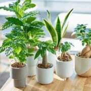 ヒメ日記 2025/12/31 07:32 投稿 水島（みずしま） 熟女の風俗最終章 名古屋店