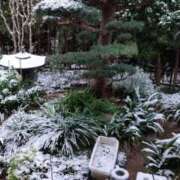 ヒメ日記 2026/01/12 14:12 投稿 水島（みずしま） 熟女の風俗最終章 名古屋店