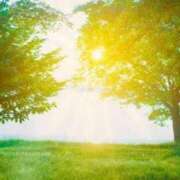 ヒメ日記 2026/01/19 08:02 投稿 水島（みずしま） 熟女の風俗最終章 名古屋店