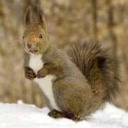 ヒメ日記 2026/01/24 08:32 投稿 水島（みずしま） 熟女の風俗最終章 名古屋店