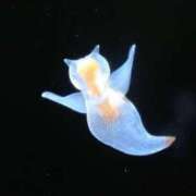 ヒメ日記 2026/01/27 03:12 投稿 水島（みずしま） 熟女の風俗最終章 名古屋店