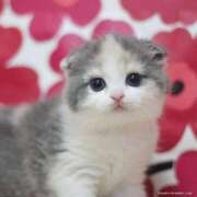 ヒメ日記 2026/02/22 08:42 投稿 水島（みずしま） 熟女の風俗最終章 名古屋店