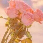 ヒメ日記 2026/02/22 15:52 投稿 水島（みずしま） 熟女の風俗最終章 名古屋店