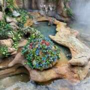 ヒメ日記 2026/02/13 17:20 投稿 瑚々【ここ】 丸妻 西船橋店