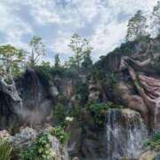 ヒメ日記 2026/02/24 10:31 投稿 瑚々【ここ】 丸妻 西船橋店