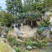 ヒメ日記 2026/02/24 20:43 投稿 瑚々【ここ】 丸妻 西船橋店