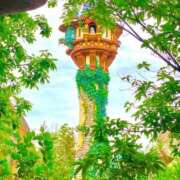 瑚々【ここ】 ♡3月の 丸妻 西船橋店