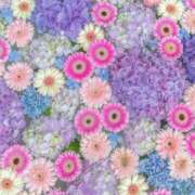 瑚々【ここ】 ♡わーい 丸妻 西船橋店