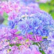ヒメ日記 2026/06/05 09:55 投稿 瑚々【ここ】 丸妻 西船橋店
