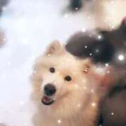 ヒメ日記 2026/03/21 21:44 投稿 さく 渋谷じゃっくす