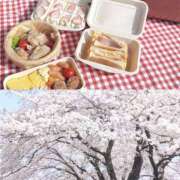 ヒメ日記 2026/03/29 16:30 投稿 さく 渋谷じゃっくす