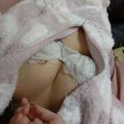 ヒメ日記 2025/12/23 12:51 投稿 うみ 新宿本店 ぽちゃカワ女子専門店