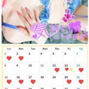 ヒメ日記 2026/02/17 17:12 投稿 うた セレブクエスト-omiya-