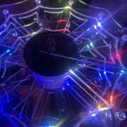 ヒメ日記 2026/03/30 15:51 投稿 せいな みつばちマーヤZ