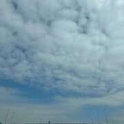 ヒメ日記 2026/02/15 11:02 投稿 ゆん マネキン 名駅店