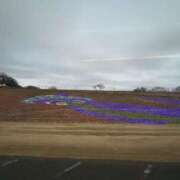 ヒメ日記 2025/12/22 15:33 投稿 かなめ 丸妻 池袋店