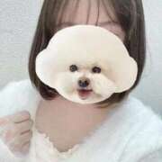 ヒメ日記 2026/02/17 20:02 投稿 ふゆ コンカフェ＆オナクラ ちいかの！渋谷店