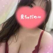 ヒメ日記 2026/01/04 15:39 投稿 ふうか 柏人妻花壇