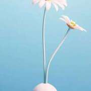 ヒメ日記 2026/02/13 20:47 投稿 まゆ 秋葉原鑑賞ガール