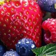 ヒメ日記 2026/02/15 20:17 投稿 まゆ 秋葉原鑑賞ガール