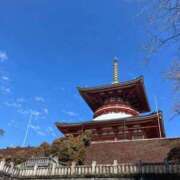 ヒメ日記 2026/03/13 19:47 投稿 まゆ 秋葉原鑑賞ガール