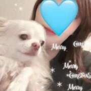 ヒメ日記 2025/12/25 17:58 投稿 かずはさん いけない奥さん 梅田店