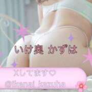 ヒメ日記 2026/02/12 19:38 投稿 かずはさん いけない奥さん 梅田店