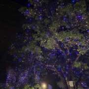 ひすい ごめんなさい💦 多恋人倶楽部（山口）