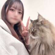 ヒメ日記 2026/02/11 20:35 投稿 えりか【曲線美の極上ボディ】 STELLA NEXT－ステラネクスト－