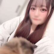 ヒメ日記 2026/02/16 01:04 投稿 えりか【曲線美の極上ボディ】 STELLA NEXT－ステラネクスト－