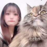 ヒメ日記 2026/02/23 03:06 投稿 えりか【曲線美の極上ボディ】 STELLA NEXT－ステラネクスト－