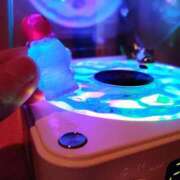 ヒメ日記 2026/02/18 20:48 投稿 ねずみ 横浜Cute