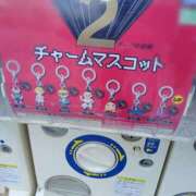 ねずみ 【出没】道草 横浜Cute