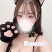 ヒメ日記 2026/06/12 04:19 投稿 ラムネ よくばりトロリッ痴-フェチなM性感ヘルス-神戸店