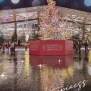 ヒメ日記 2025/12/24 16:48 投稿 紫藤(しどう) 熟女出逢い会『百合の園』目黒店