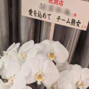 紫藤(しどう) おはようございます😊 熟女出逢い会『百合の園』目黒店