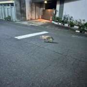 ヒメ日記 2026/08/21 00:29 投稿 いちか 福島駅前ちゃんこ