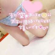 ヒメ日記 2026/09/02 14:53 投稿 まいか BLUE BIRD (ブルーバード) 上越