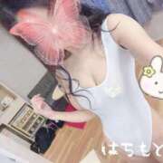 ヒメ日記 2026/02/21 13:41 投稿 橋本　みさき ナディア（奈良）