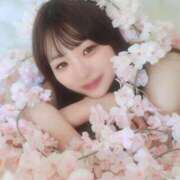 ★魔法【マホ】★ 桜は終わりましたが🌸 CLUB MUTEKI大阪本店