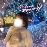 ヒメ日記 2025/12/24 00:31 投稿 サクラ マテリアル