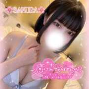 サクラ 極上の華金? マテリアル