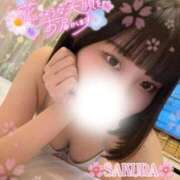 サクラ ウソか誠か マテリアル