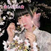 ヒメ日記 2026/04/09 20:31 投稿 サクラ マテリアル