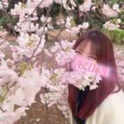 ヒメ日記 2026/04/01 10:55 投稿 あずさ ごほうびSPA池袋店