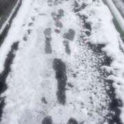 ヒメ日記 2026/02/08 09:38 投稿 ねね ハンドキャンパス池袋